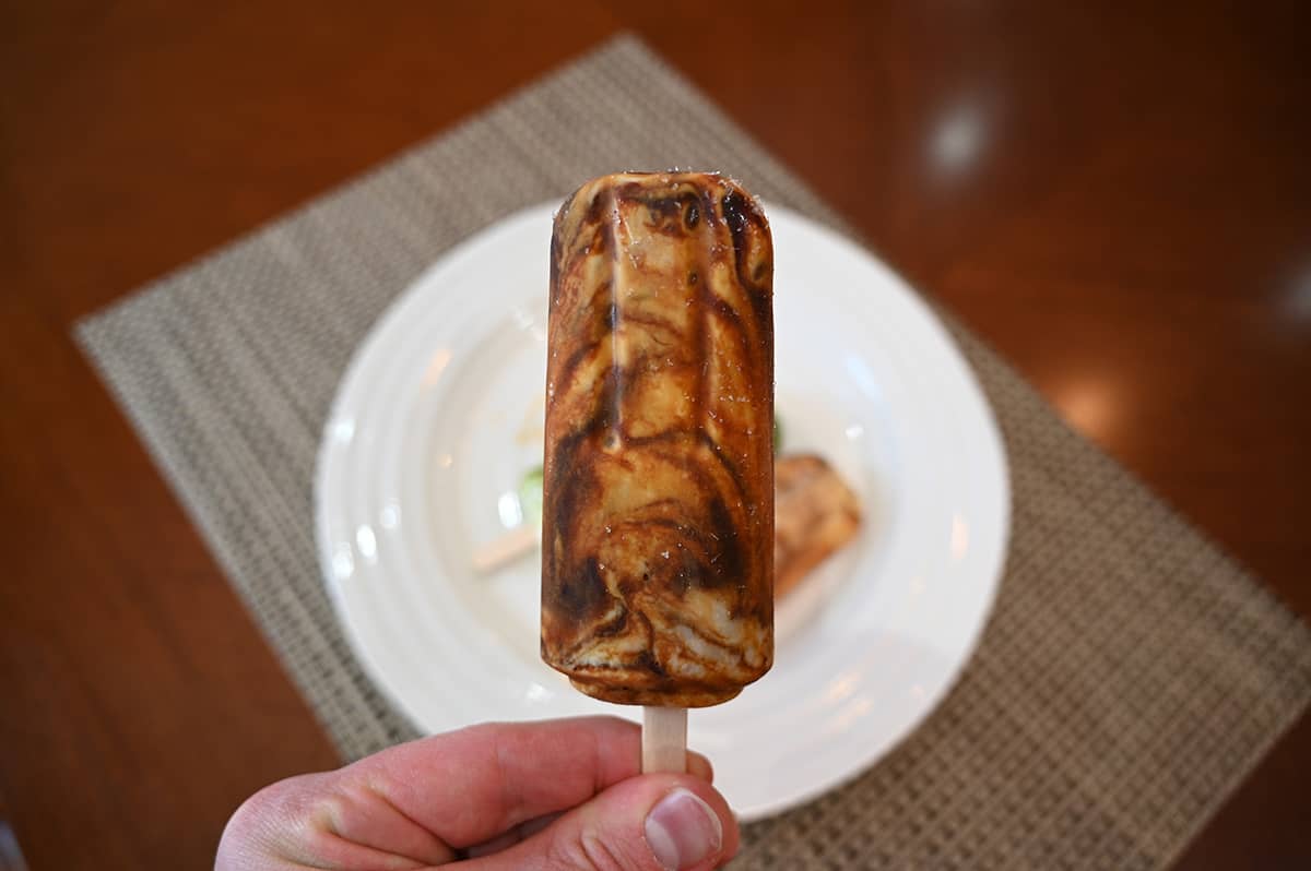 Image of a hand holding a brown sugar frozen dessert bar near the camera.