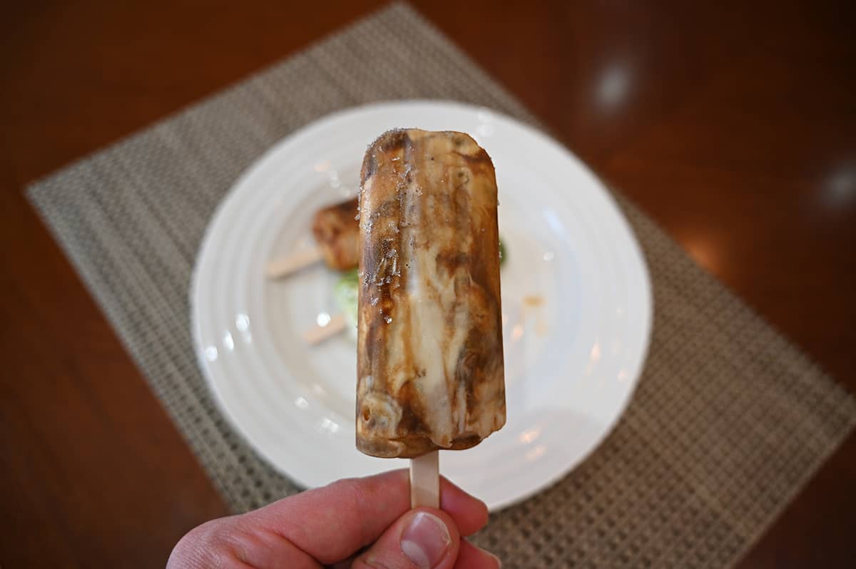 Image of a hand holding a black tea latte frozen dessert bar near the camera.