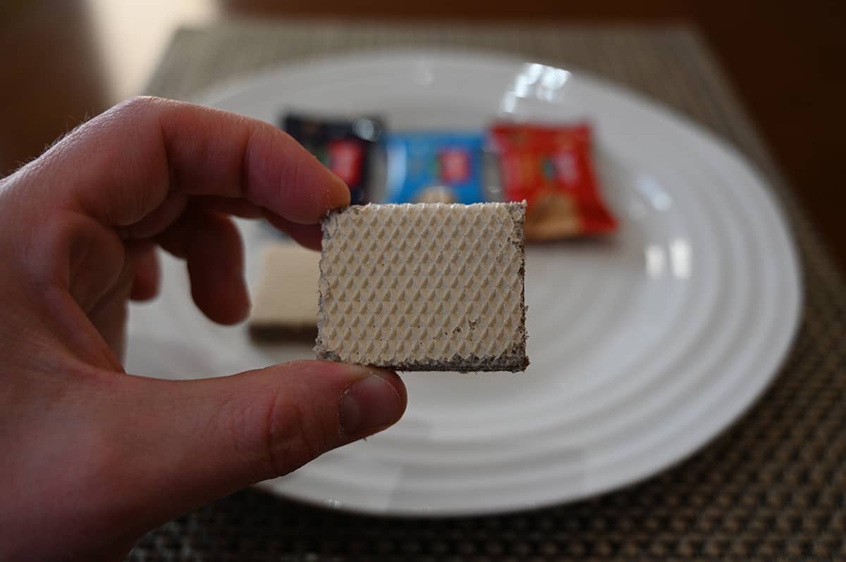 Closeup image of one wafer cookie infront of the camera.