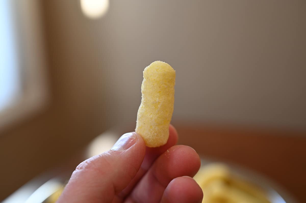 Closeup image of hand holding one single puff close to the camera.