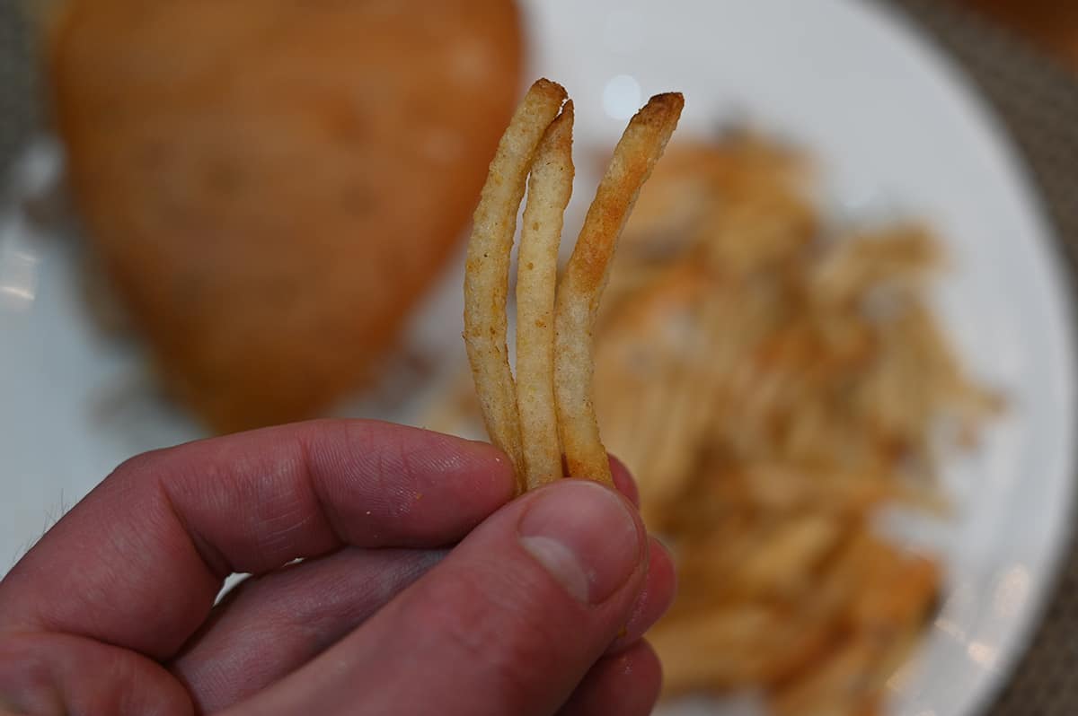 Closeup image of a hand holding three fries in front of the camera with a plate full of fries in the background.