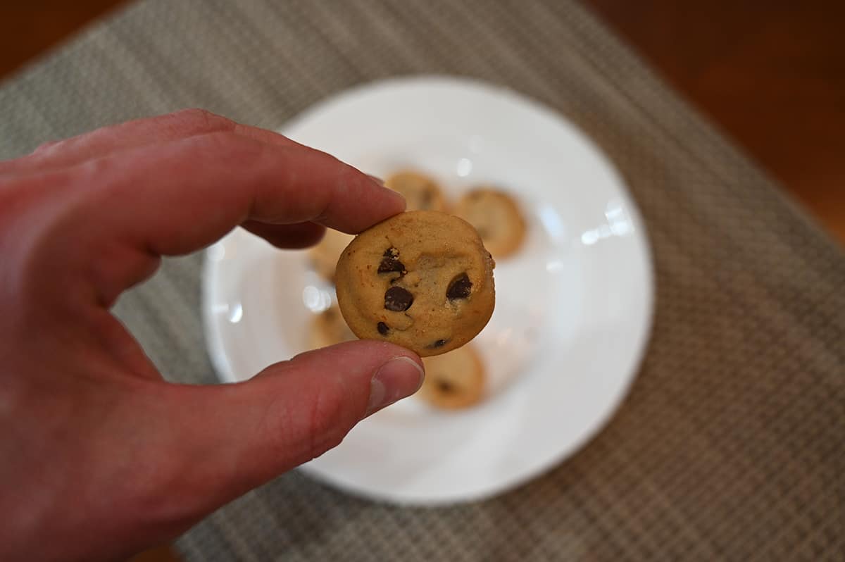 Closeup image of a hand holding one cookie close to the camera with a plate of cookies in the background.