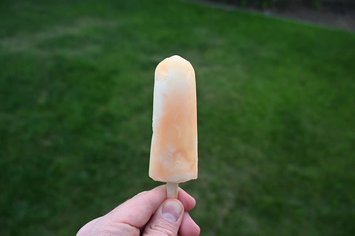 Costco PhillySwirl Organic Swirl Stix Review Costcuisine