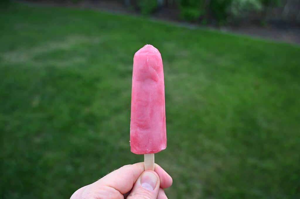 Image of a hand holding one berry flavored popsicle in front of the camera.