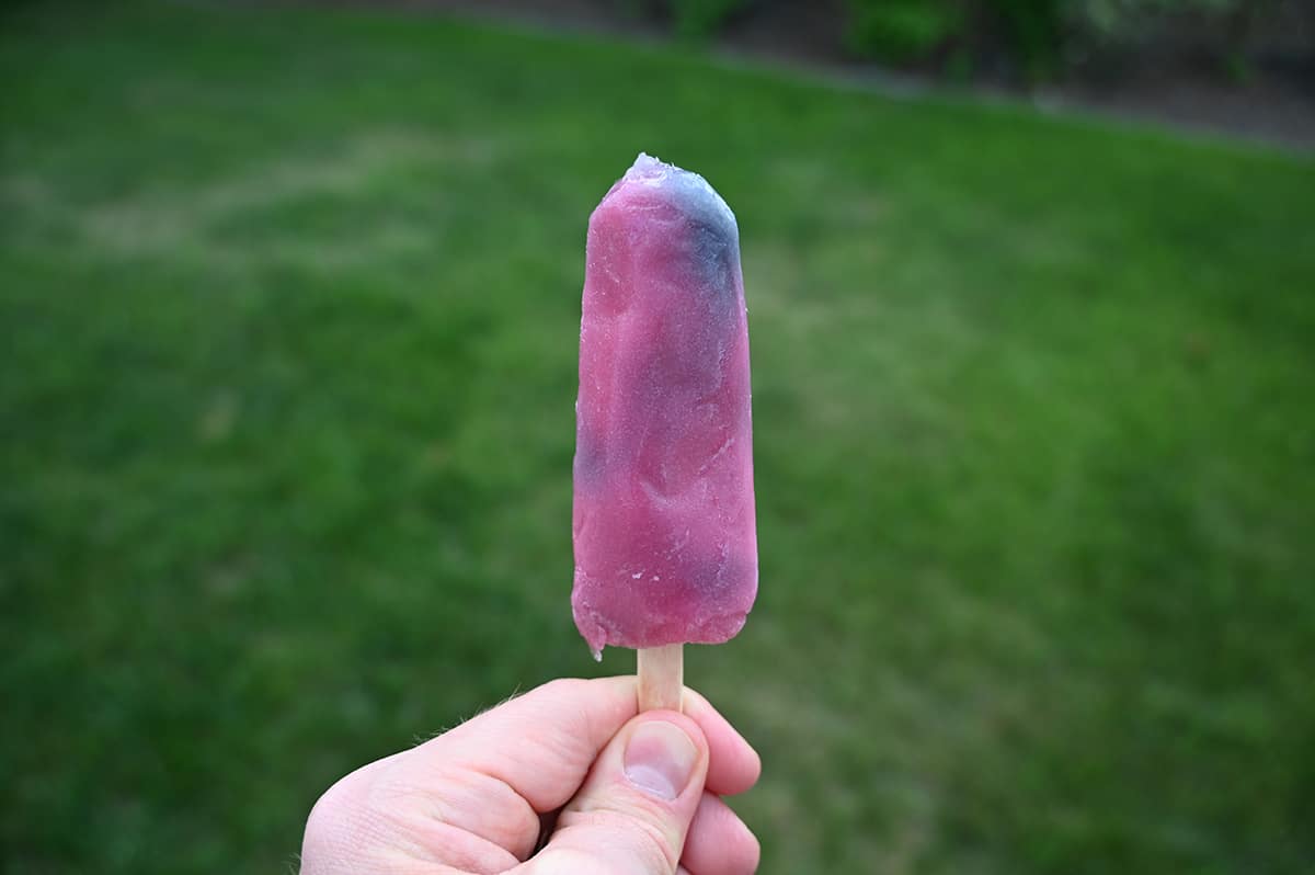 Image of a hand holding one cotton candy flavored popsicle in front of the camera.