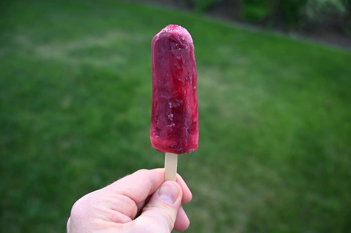 Image of a hand holding one blueberry pomegranate flavored popsicle in front of the camera.