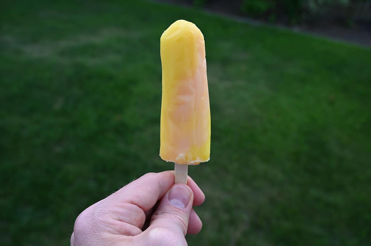 Image of a hand holding one mango pineapple flavored popsicle in front of the camera.