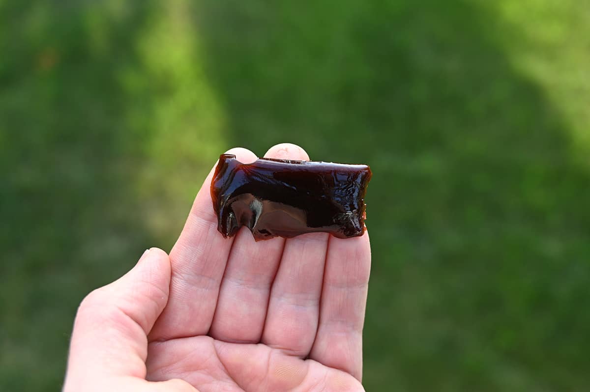Closeup imageof a hand holding one jelly stick unpackaged. There's green grass in the background of the photo.