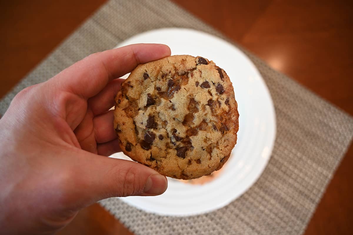 Closeup image of a hand holding one chocolate chip cookie close to the camera.