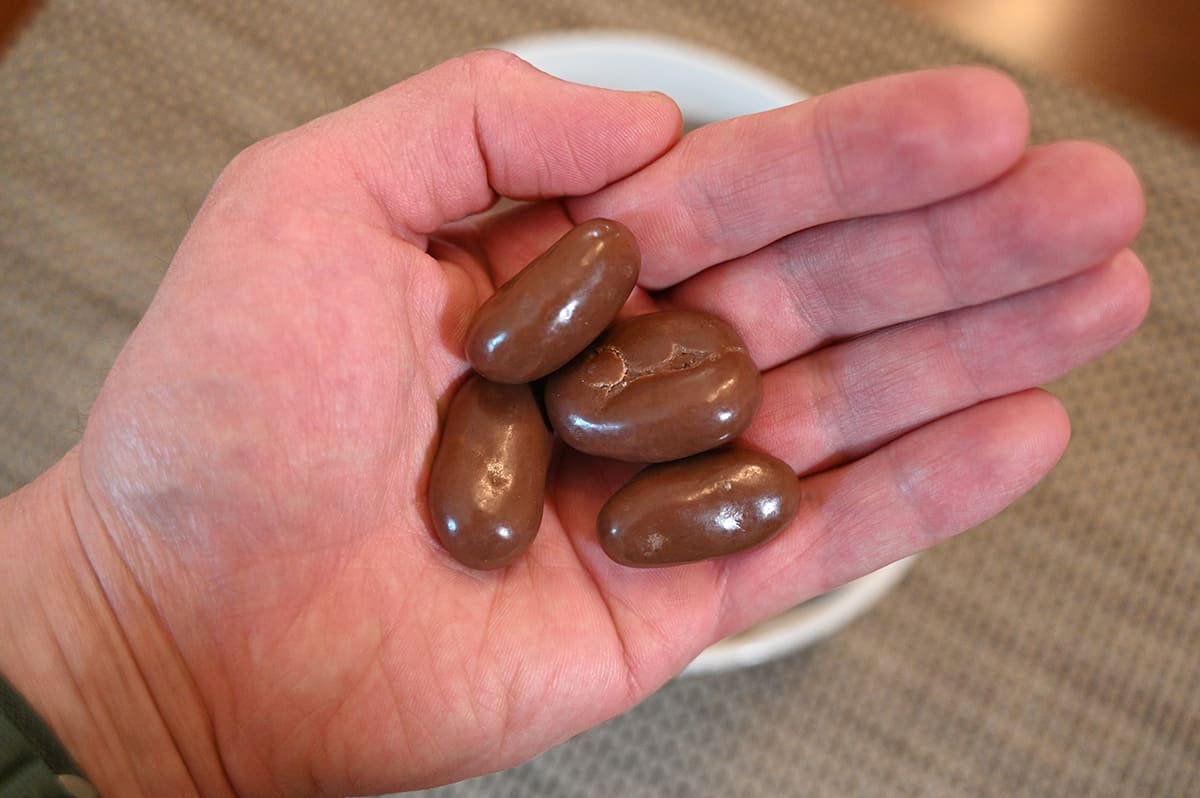 Top down image of four milk chocolate pecans in the palm of a hand.