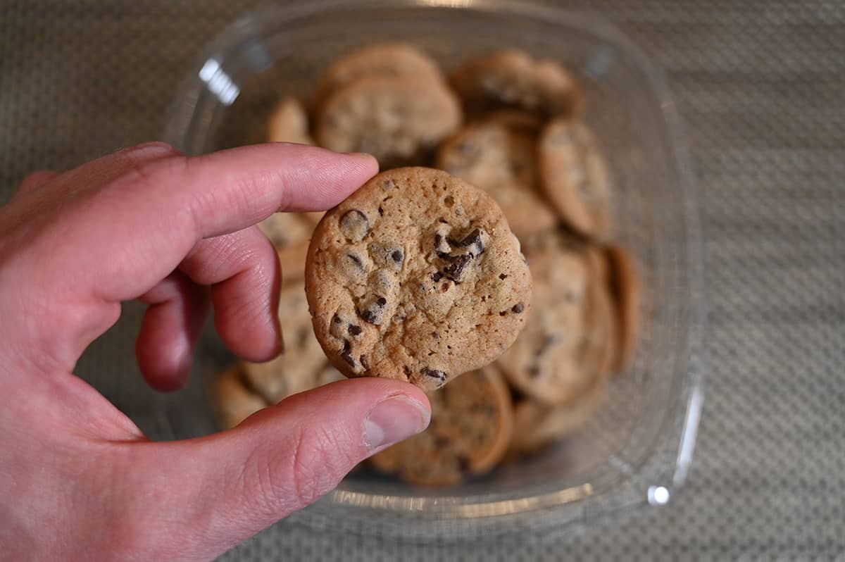 Closeup image of a hand holding one cookie close to the camera with the open container of cookies in the background.