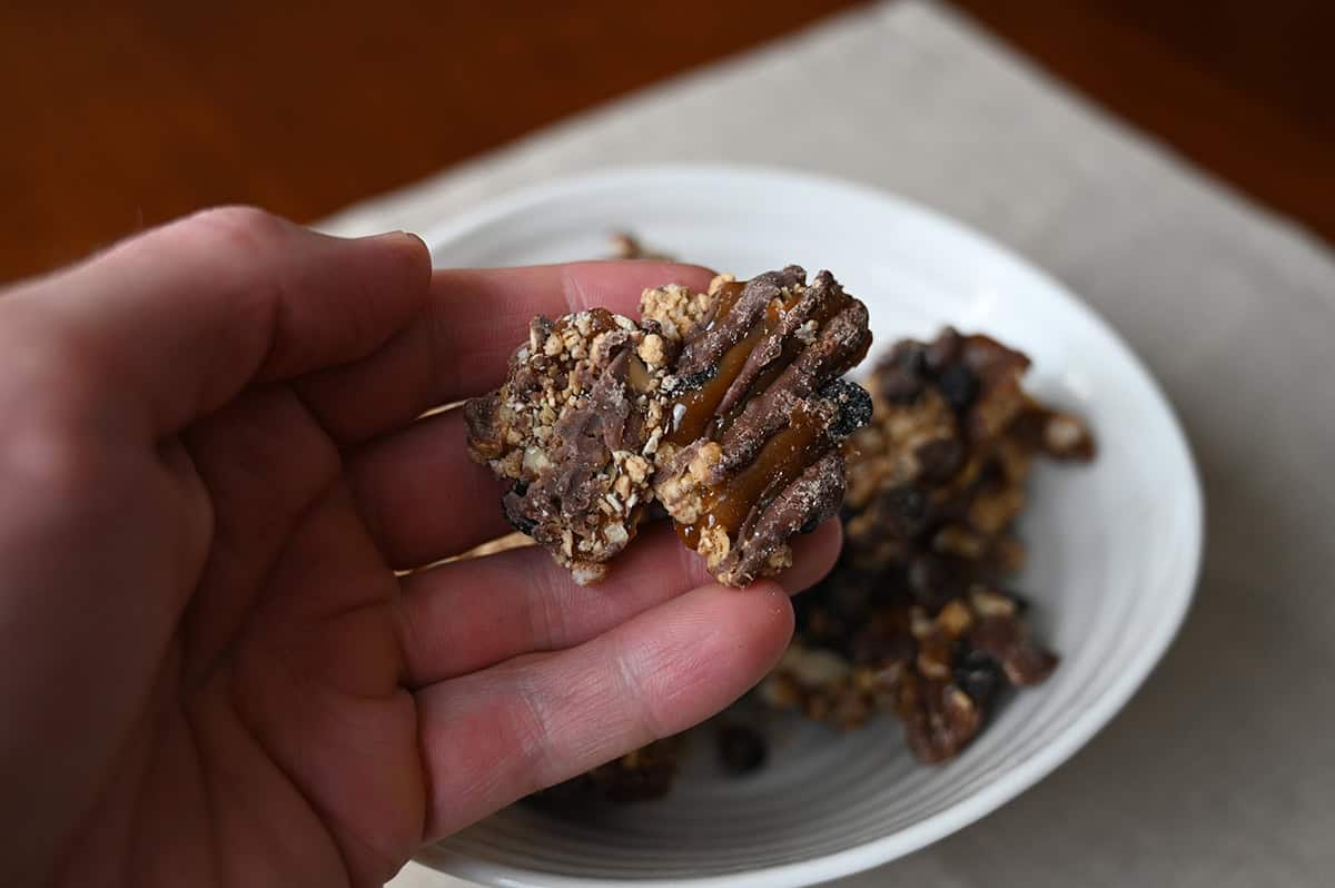 Closeup image of a hand holding one oat based granola cluster with dried blueberries Snapper in the background of the image is a bowl of Snappers.