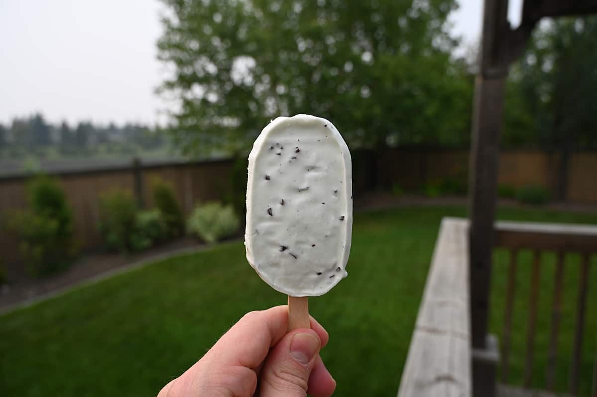 Closeup image of a hand holding one Yasso Greek Yogurt Bar out of the wrapper close to the camera. There are trees and grass in the background.