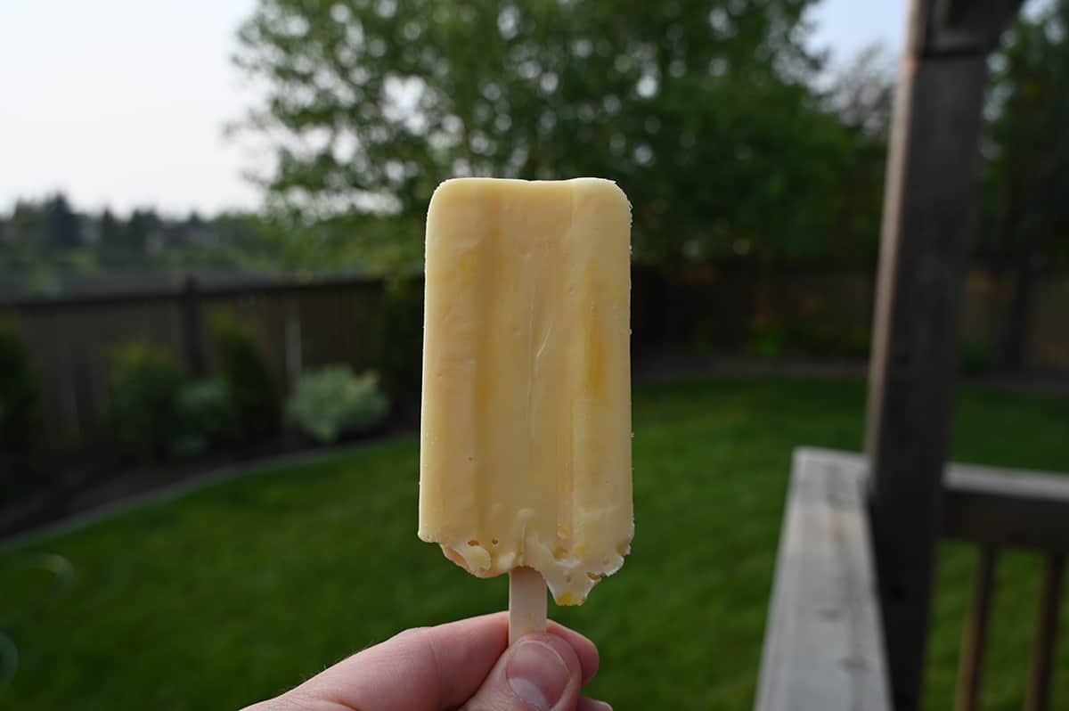 Closeup image of a hand holding one mango flavored bar. In the background is trees and grass.