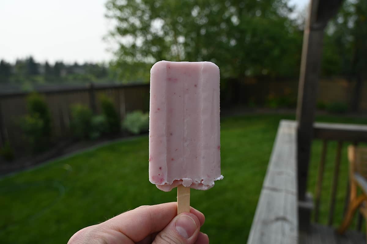 Closeup image of a hand holding one strawberry flavored bar. In the background is trees and grass.
