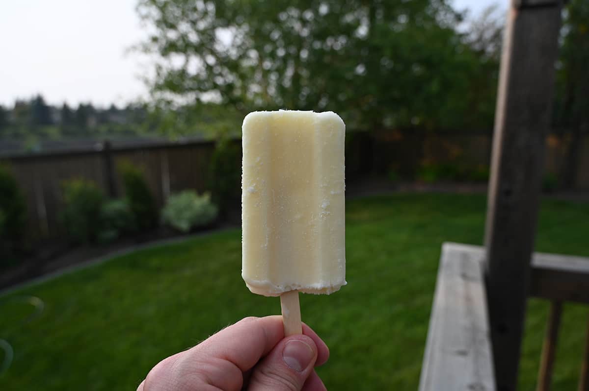 Closeup image of a hand holding one coconut flavored bar. In the background is trees and grass.