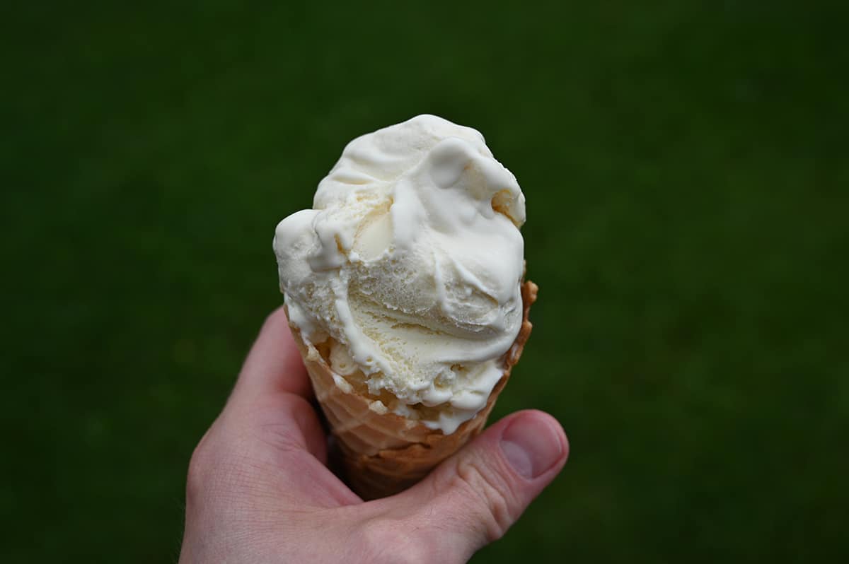 Closeup image of a hand holding a vanilla ice cream cone.