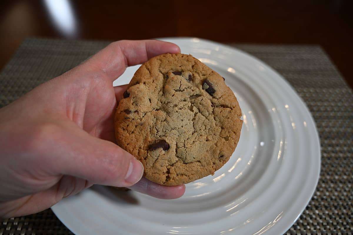 Closeup image of a hand holding one chocolate chunk cookie close to the camera.