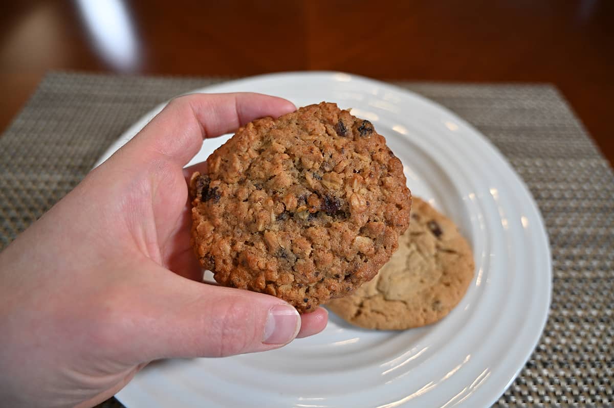 Closeup image of a hand holding an oatmeal raisin close to the camera.