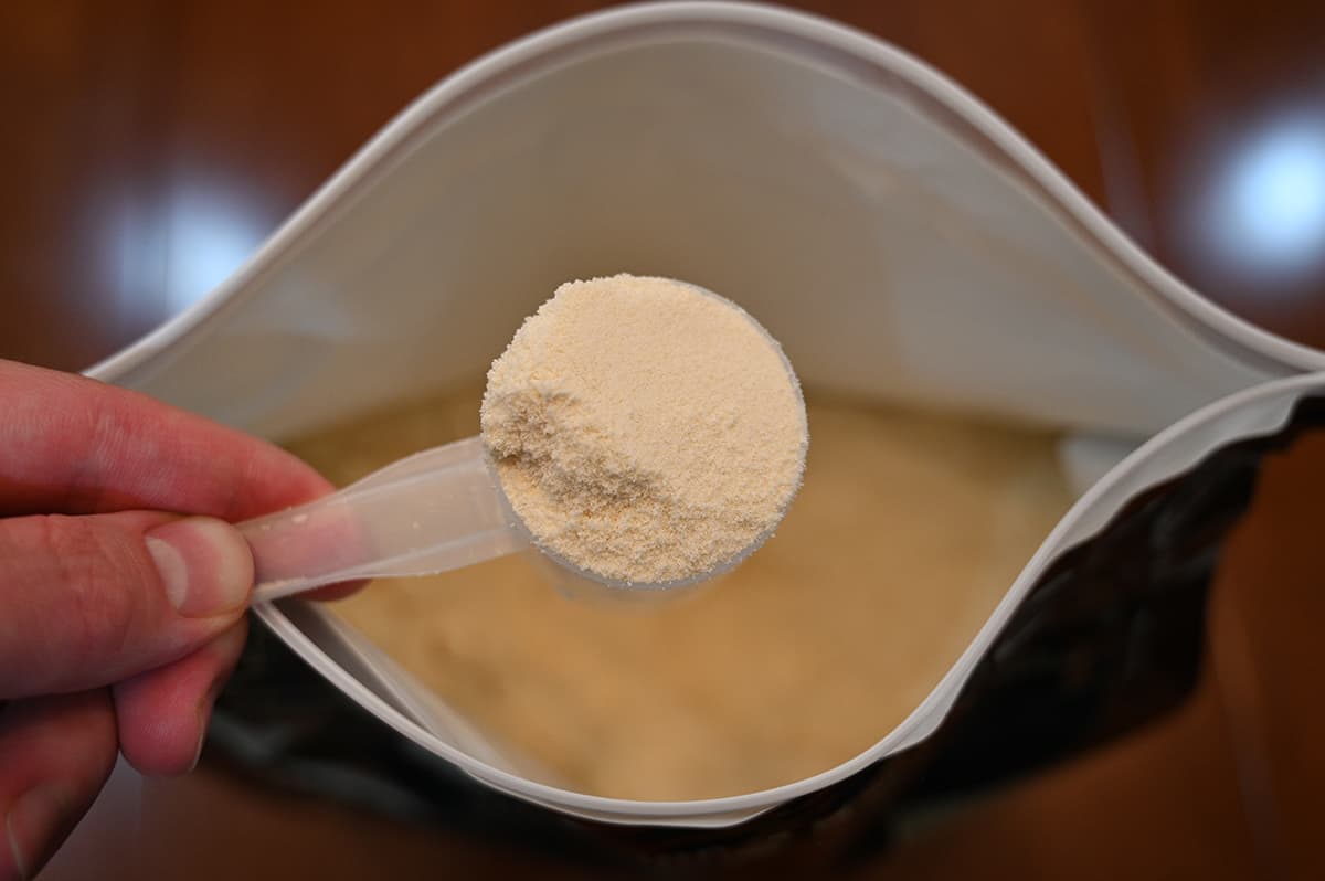 Top down image of a scoop of vanilla whey protein powder hovering over top an open bag.