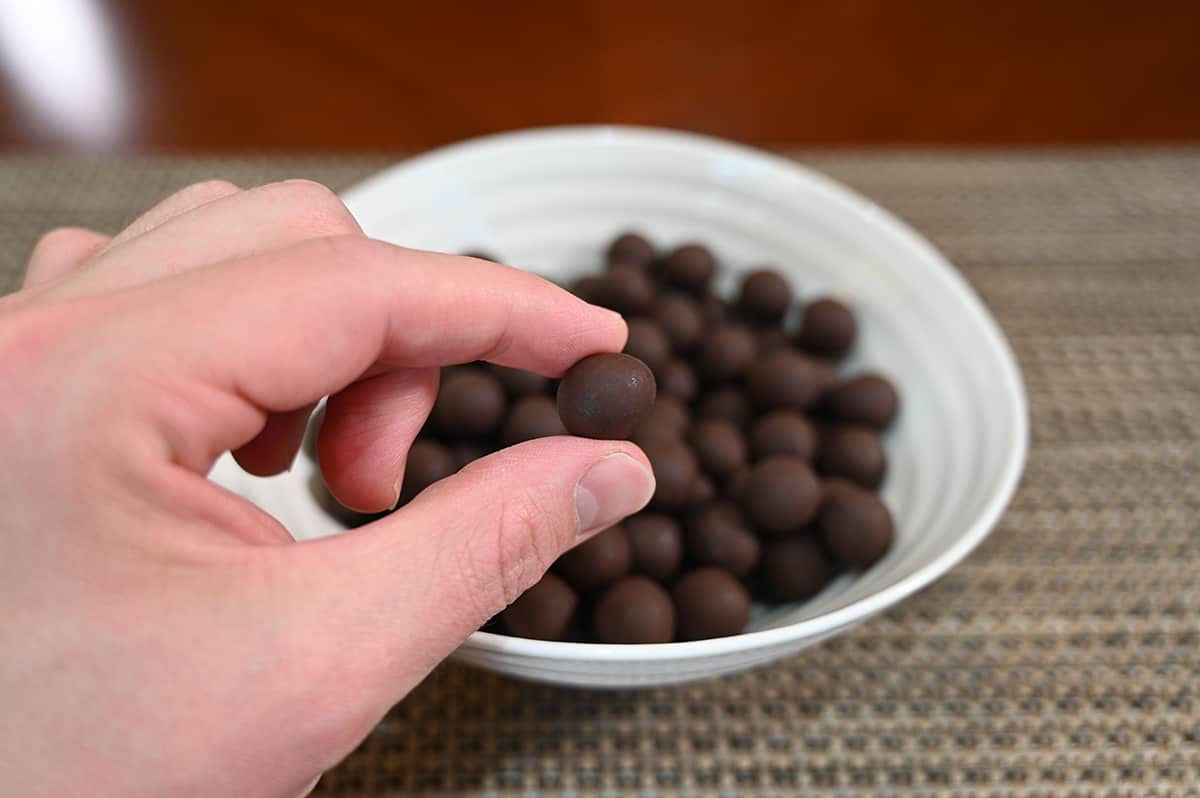 Image of a hand holding one bite close to the camera with a bowl of thin mints bites in the background.