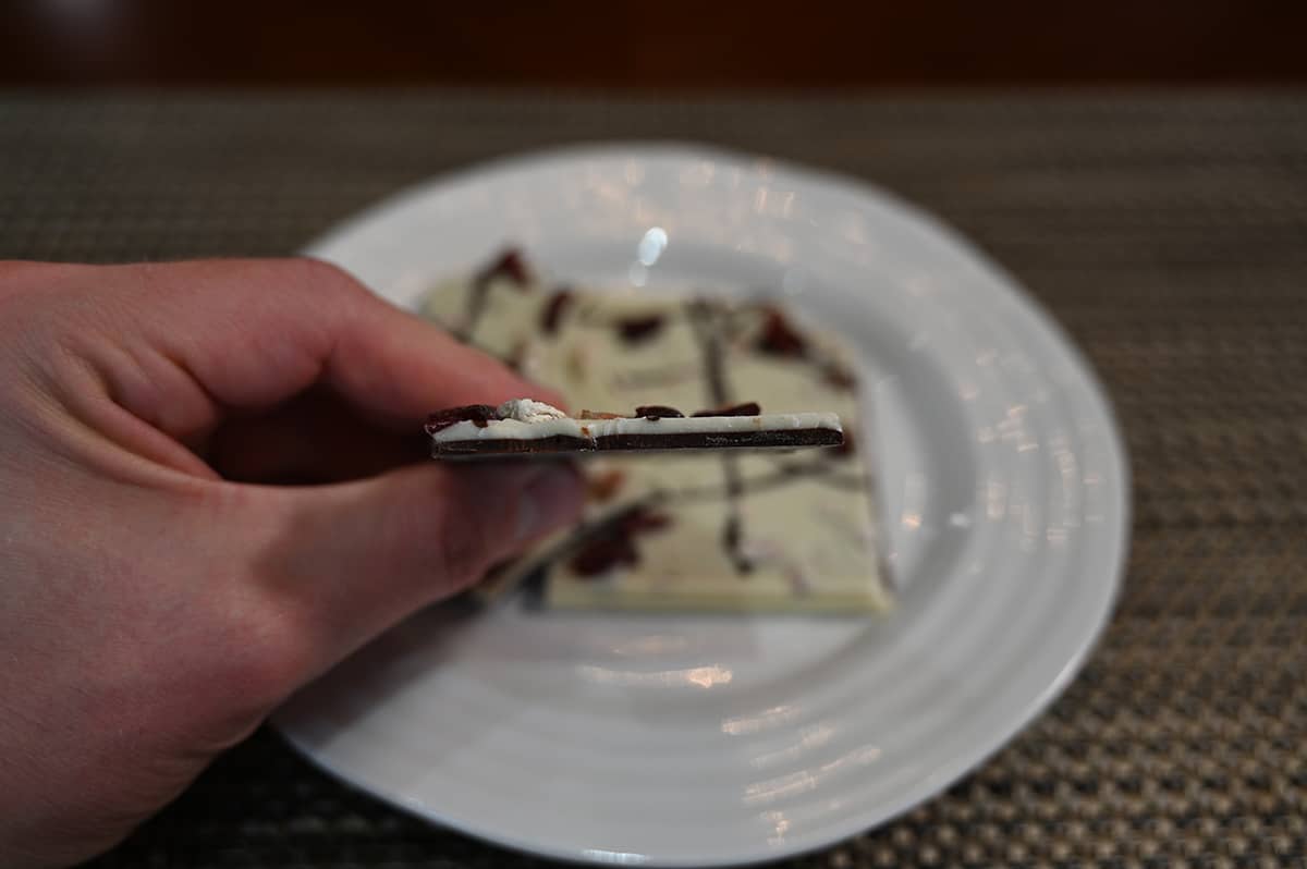 Image of a hand holding a piece of bark on it's side close to the camera so you can see the thickness of the bark and what the sides look like.