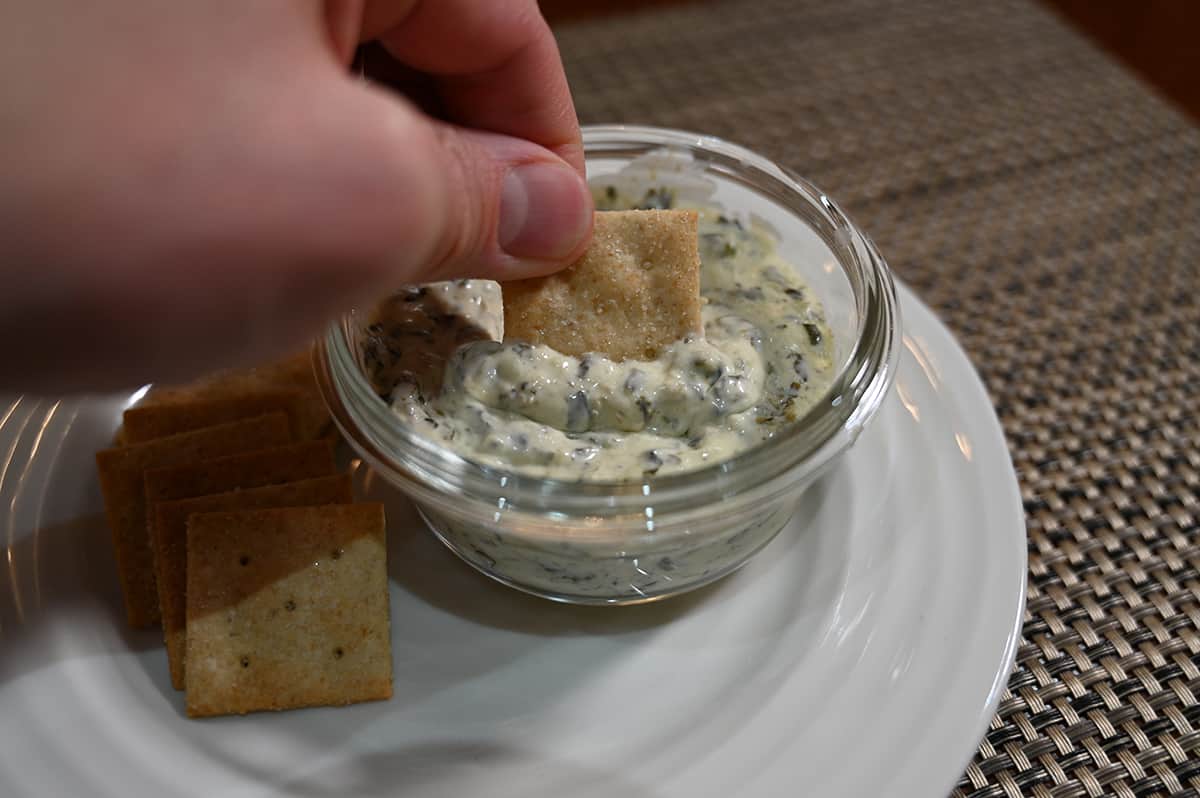 Image of a hand dipping a cracker into a bowl of dip.