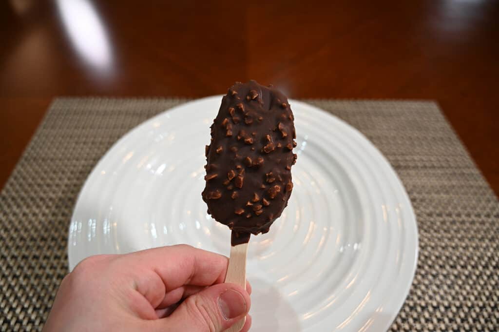 Image of a hand holding a unwrapped whole ice cream bar close to the camera 