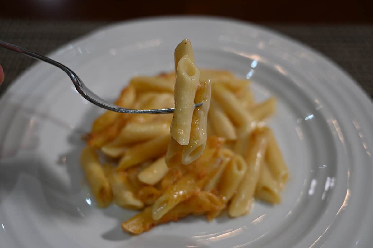 Sideview close up image of a fork with two penne noodles on it, in the background is a plate of mac and cheese.