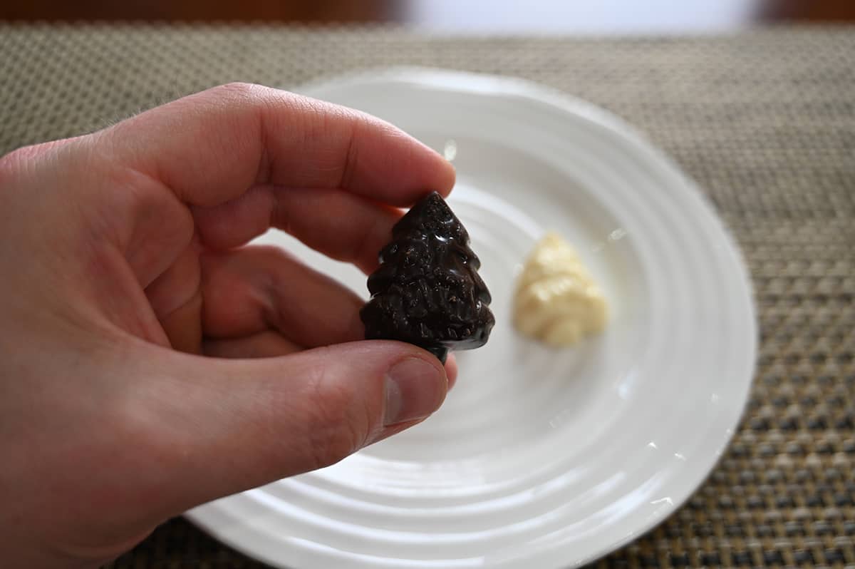 Closeup image of a hand holding one unwrapped dark chocolate close to the camera.