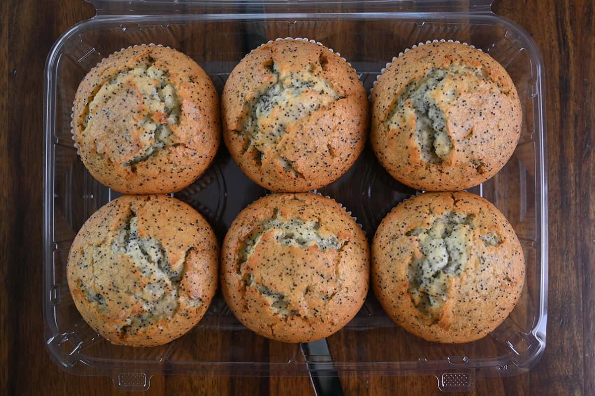 Top down image of an open container of six almond poppy muffins.