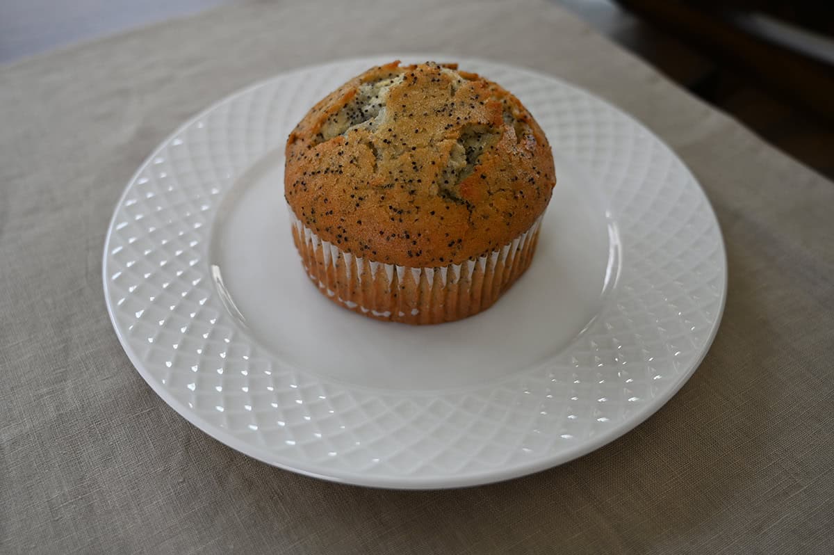 Top down image of one Costco Almond Poppy Muffin served on a white plate.