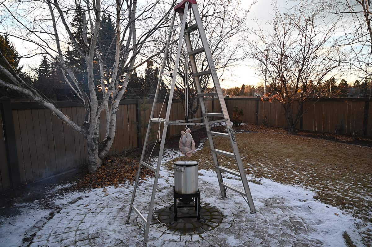 Image of the full deep frying turkey setup in the backyard. There is a turkey hanging over a pot of oil attached to a pulley system on a ladder.