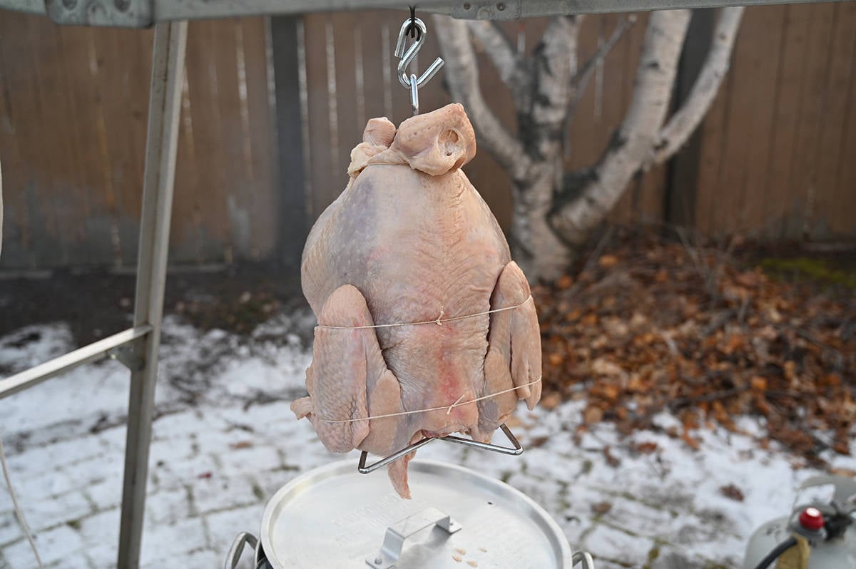 Image of a raw turkey hanging over a pot of hot oil on a pulley system before deep frying it.