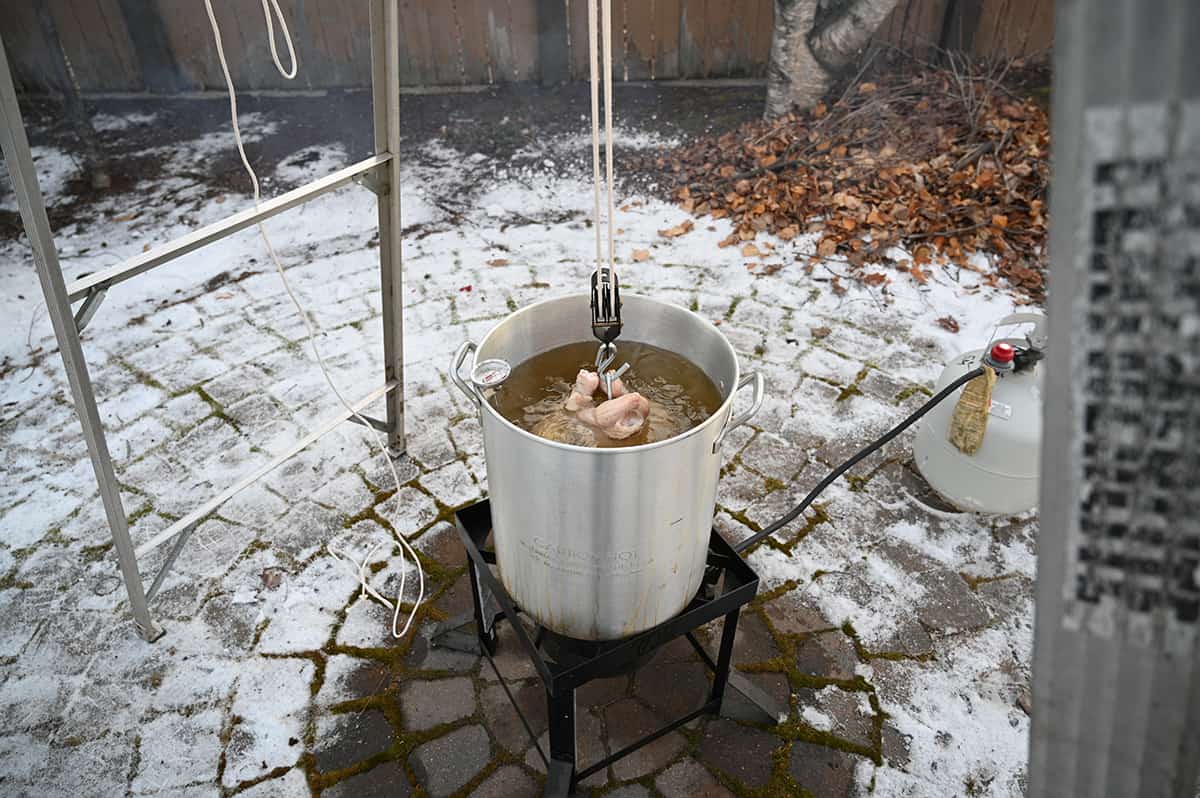 Image of raw turkey being lowered into a hot pot of oil to be deep-fried.