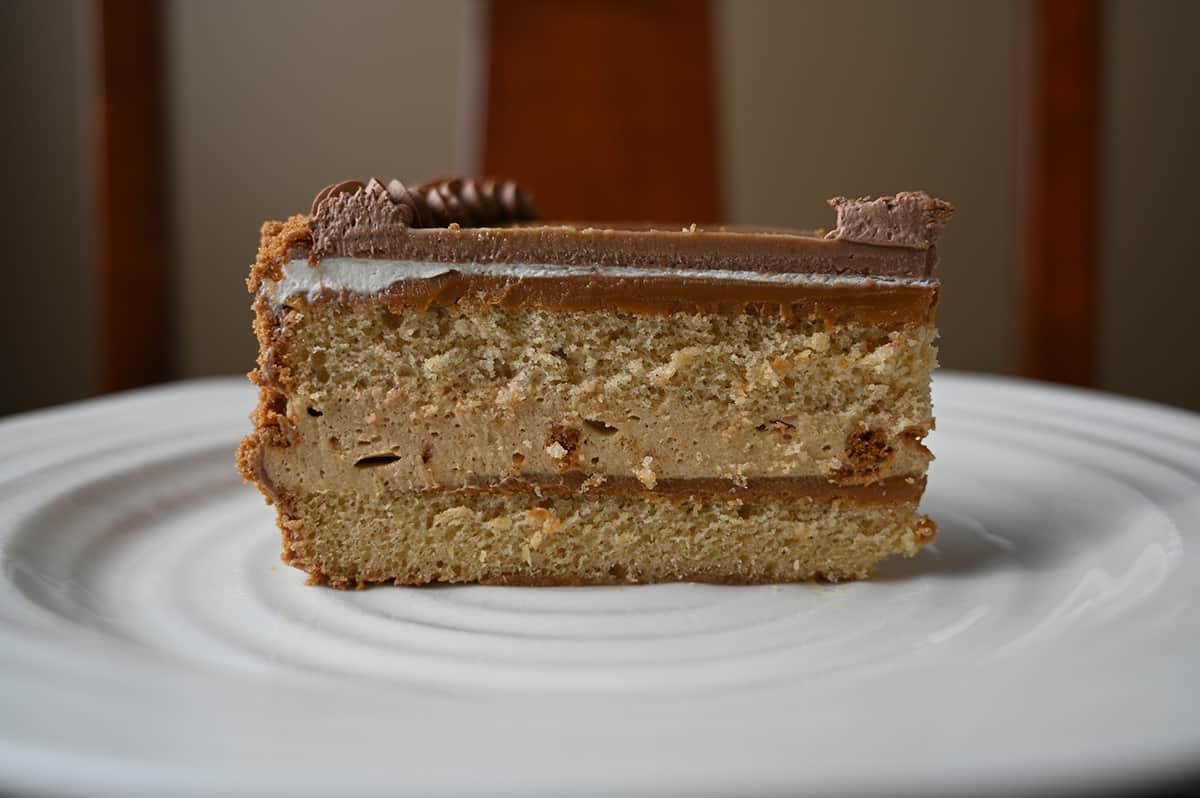 Sideview closeup image of one slice of cake served on a white plate so you can see each layer in the cake.