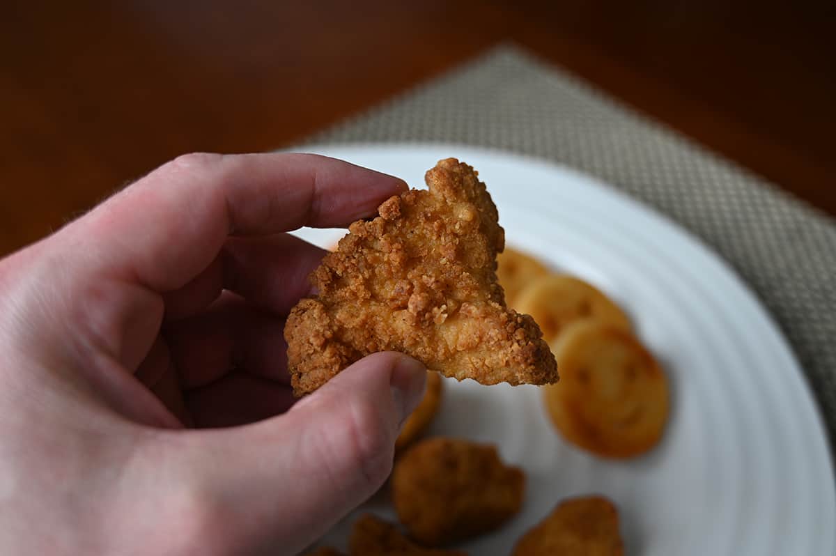 Closeup image of a hand holding one chicken breast chunk close to the camera.