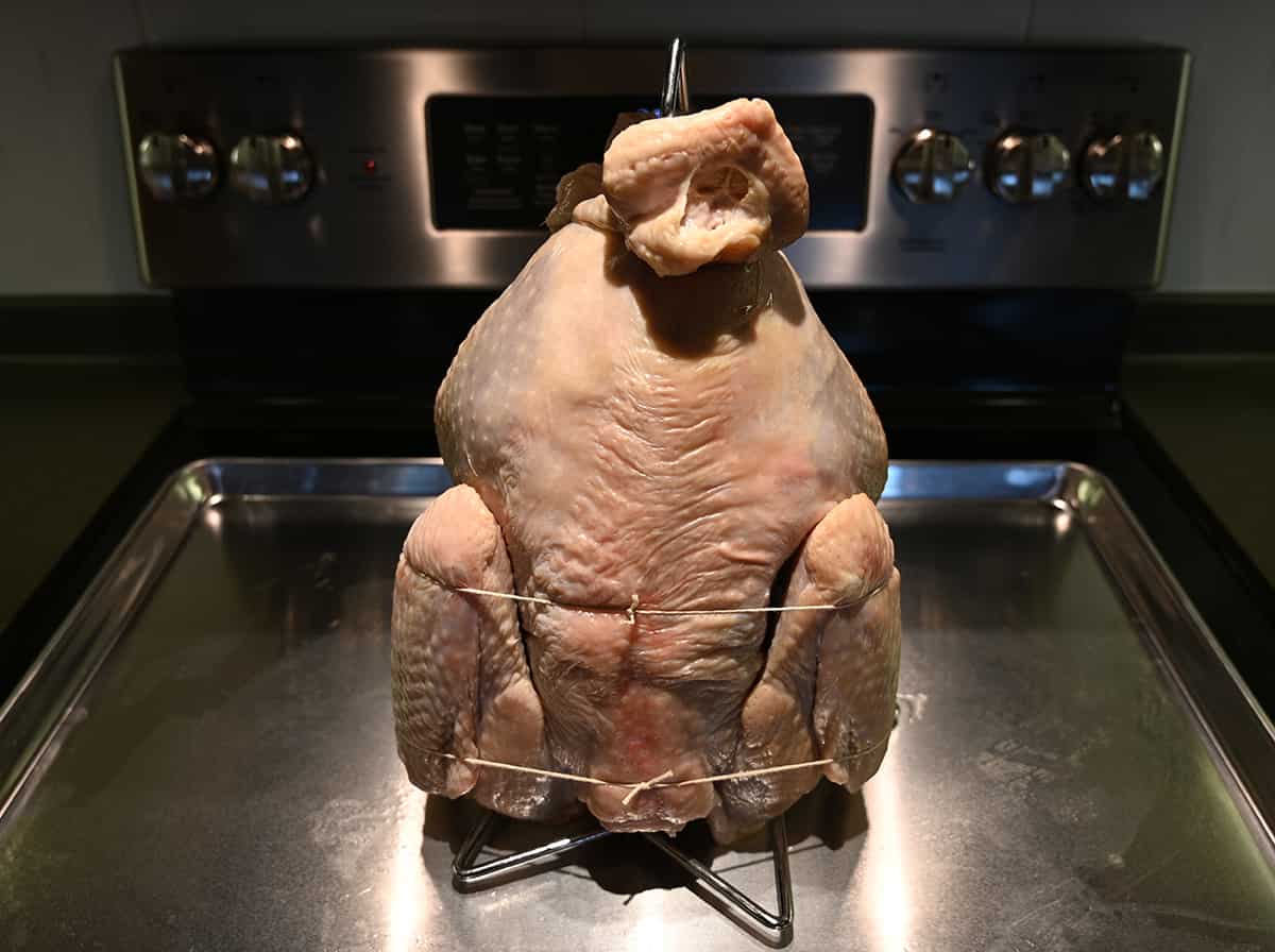 Image of a large entire turkey unpackaged, raw on a cookie tray before being cooked.