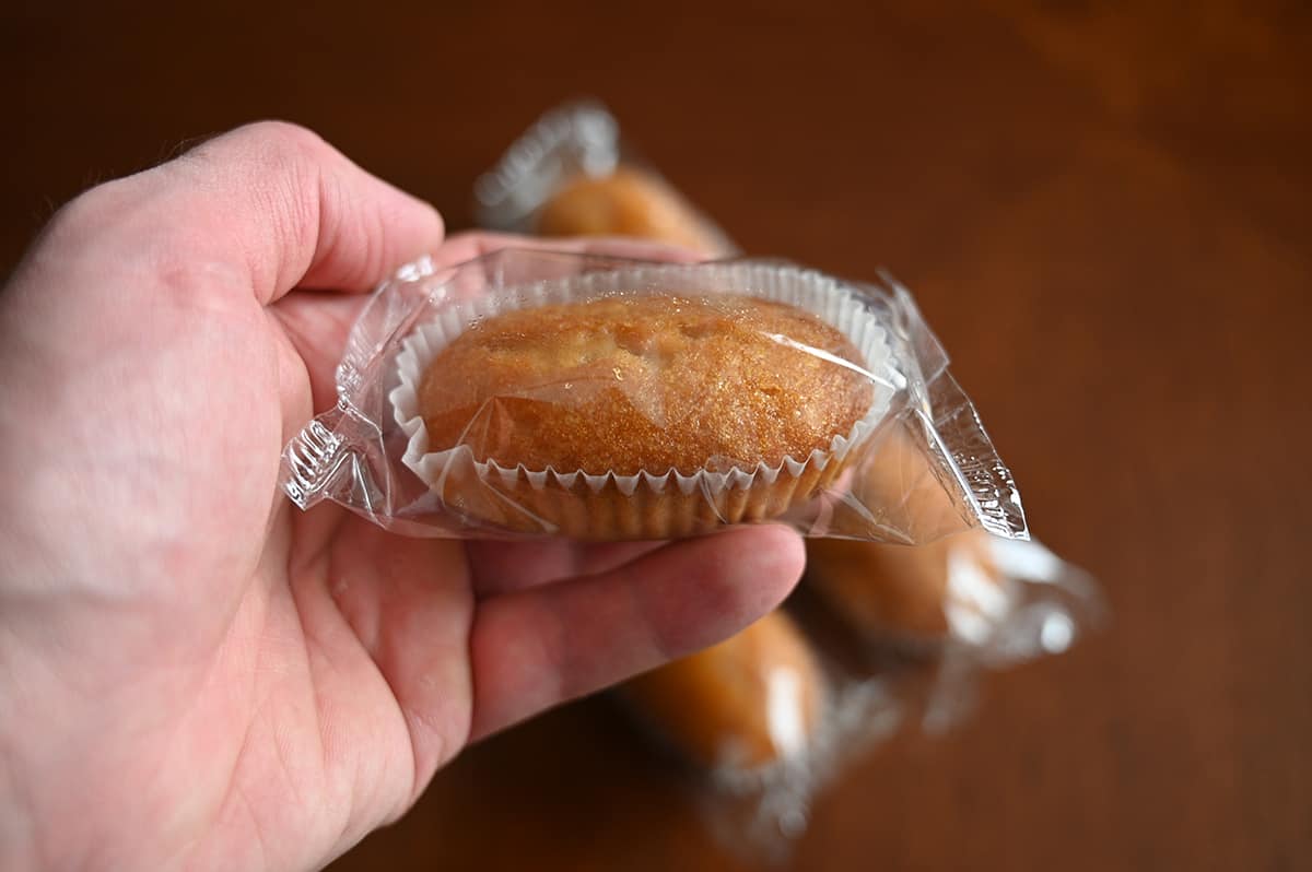 Image of a hand holding one muffin bite individually packaged in plastic.