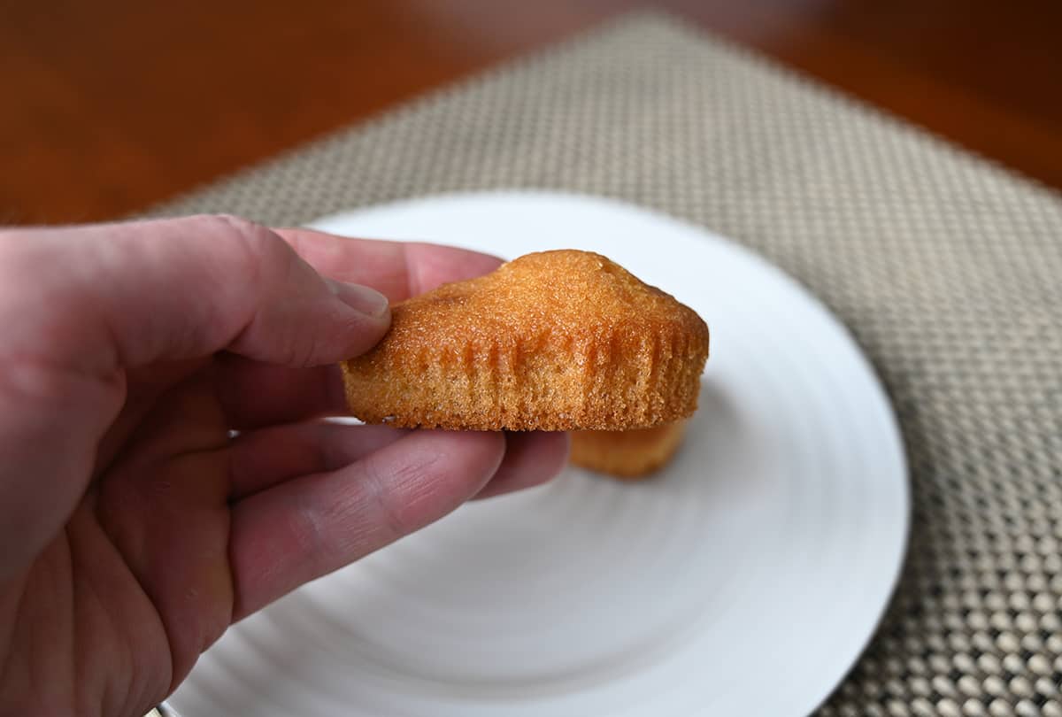 Image of a hand holding one muffin bite close up to the camera with a plate in the background.