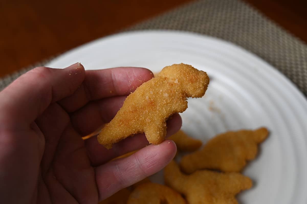Closeup image of a hand holding one T-rex dino nugget close to the camera with a plate of nuggets in the background.