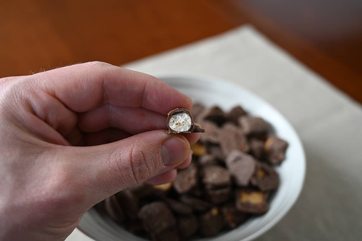 Closeup image of a hand holding one chocolate covered marshmallow with a bite taken out of it so you can see the center.