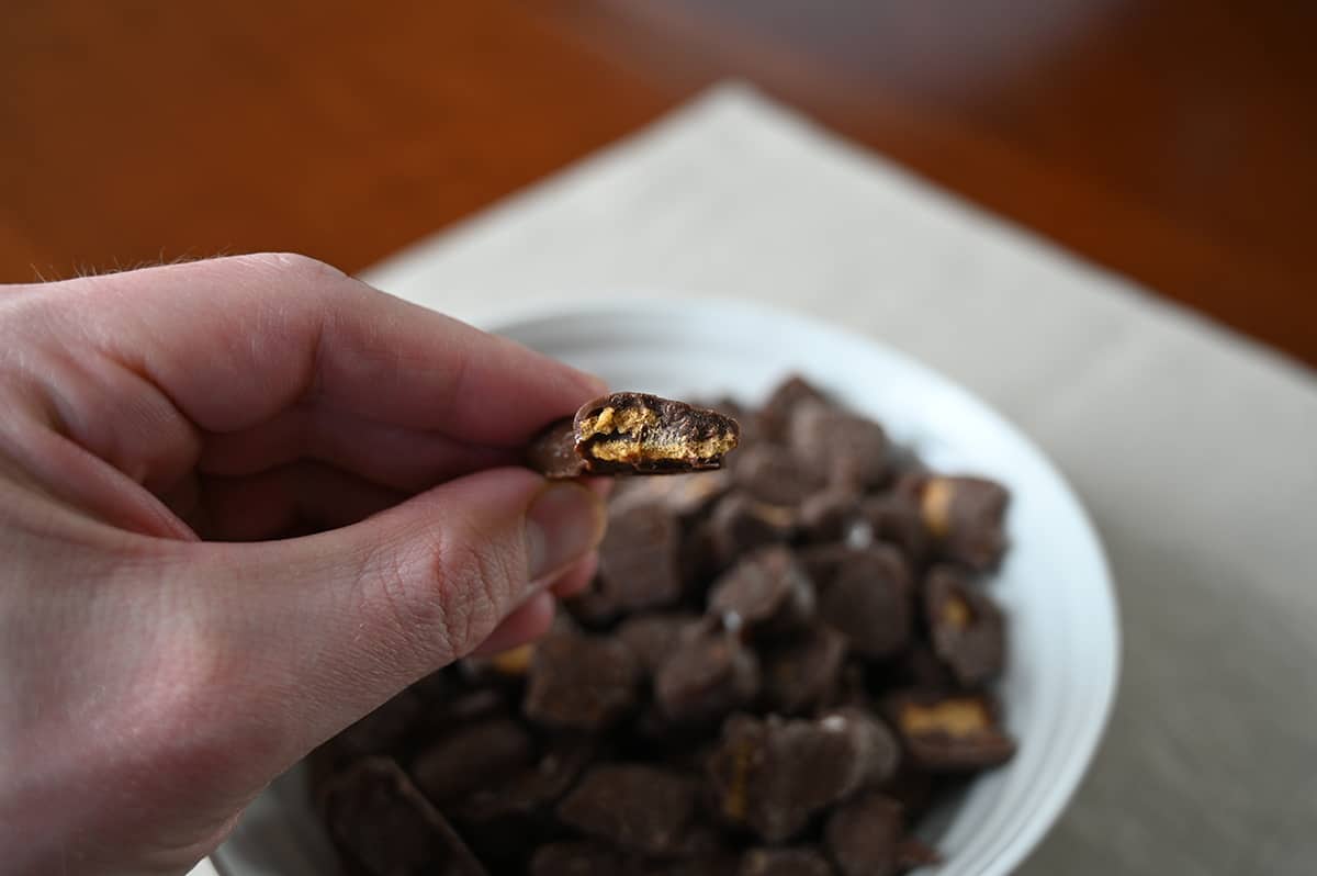 Closeup image of a hand holding one chocolate covered graham cracker with a bite taken out if it so you can see the center.