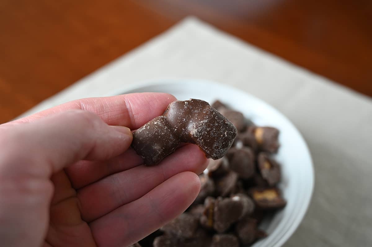 Closeup image of a hand holding one s'mores mix cluster close to the camera with a bowl of mix in the background.