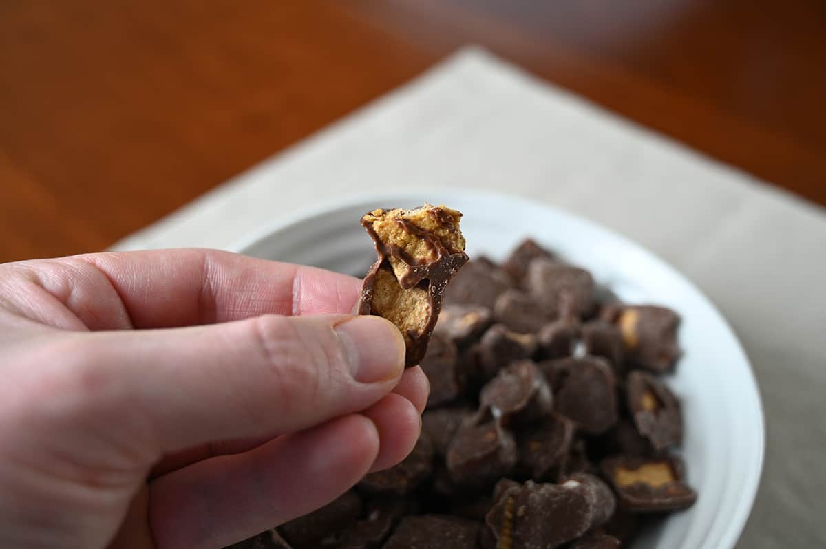 Closeup image of a hand holding a chocolate covered graham cracker. In the background of the image is a bowl of s'mores mix.