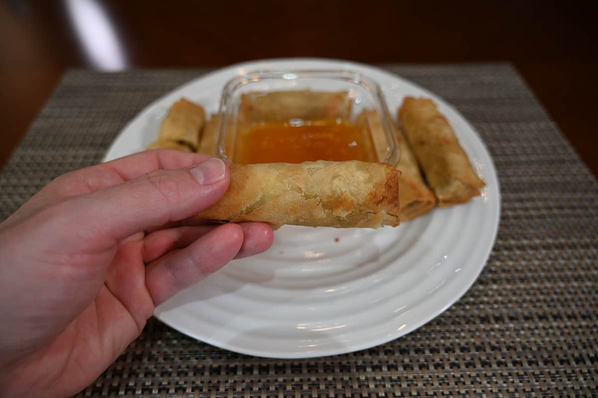 Image of a hand holding one spring roll on its side with a plate of spring rolls and sauce in the background.