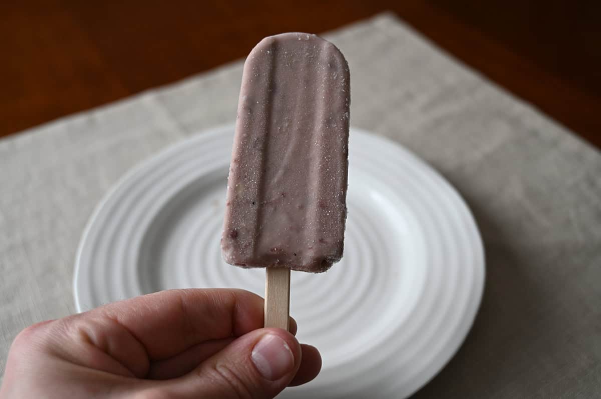 Closeup image of a hand holding one frozen bar unwrapped close to the camera, there is a white plate in the background.