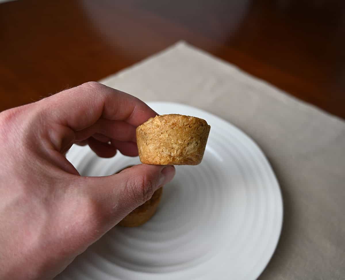 Closeup image of a hand holding one oat bite close to the camera.