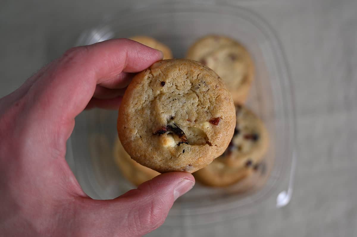 Closeup image of a hand holding one white chocolate cranberry cookie over a container of cookies.