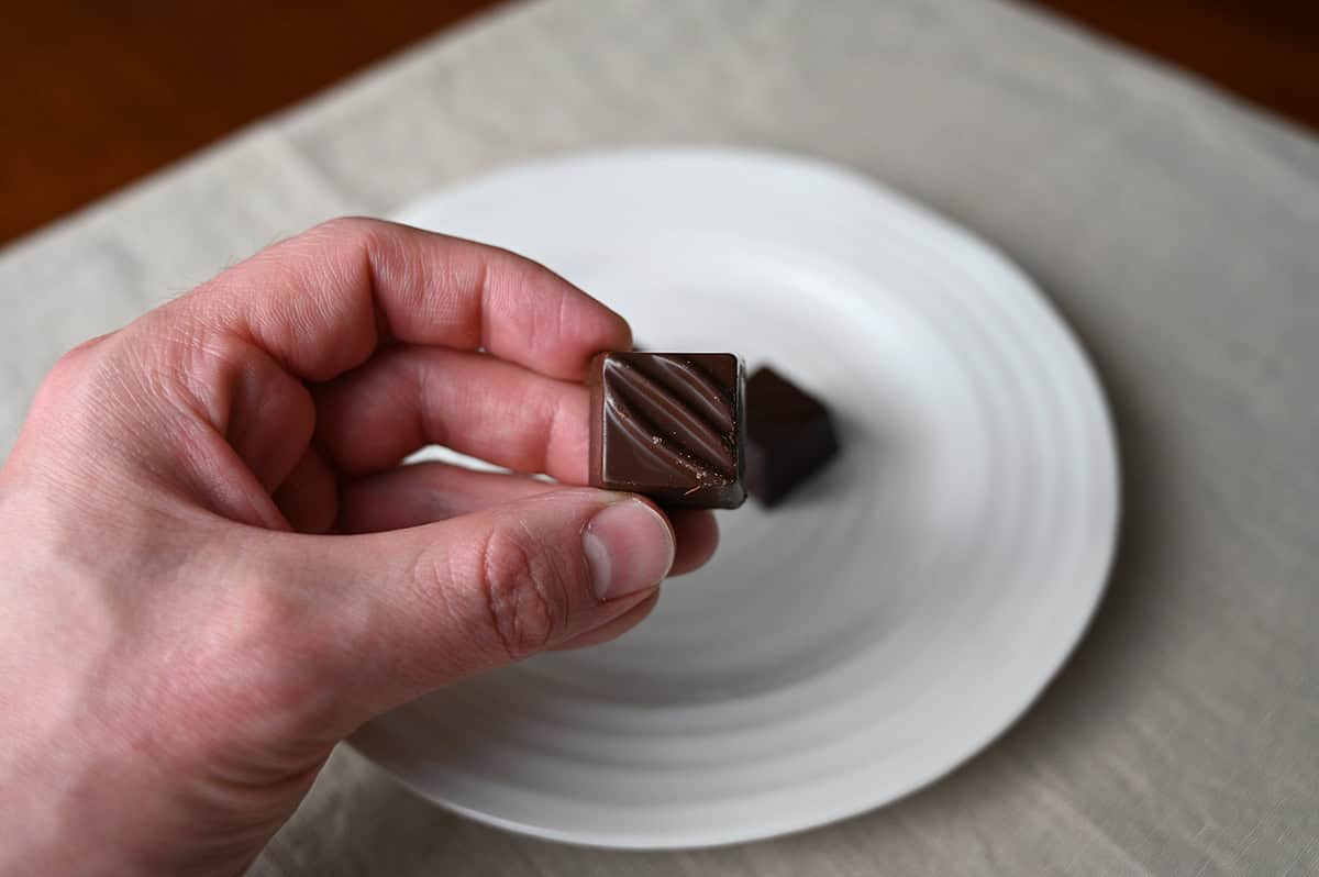 Image of a hand holding one dark chocolate truffle close to the camera so you can see what the top of the truffle looks like.